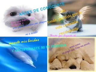 No voy a dejar pasar  ningún minuto y ser tiempo pérdido