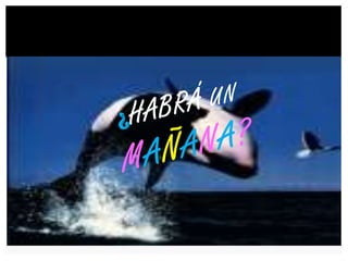 ¿HABRÁ UN MAÑANA?