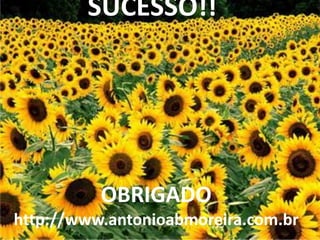 SUCESSO!!




          OBRIGADO
http://www.antonioabmoreira.com.br
 
