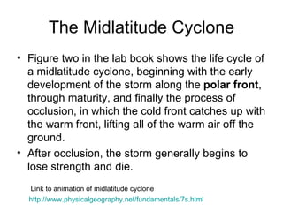 The Midlatitude Cyclone Figure two in the lab book shows the life cycle of a midlatitude cyclone, beginning with the early development of the storm along the  polar front , through maturity, and finally the process of occlusion, in which the cold front catches up with the warm front, lifting all of the warm air off the ground. After occlusion, the storm generally begins to lose strength and die. http://www.physicalgeography.net/fundamentals/7s.html Link to animation of midlatitude cyclone 
