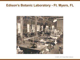 Edison’s Botanic Laboratory - Ft. Myers, FL




                               © 2007 - 2013 Sarah Miller Caldicott
 