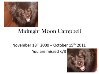 Midnight Moon Campbell

November 18th 2000 – October 15th 2011
         You are missed </3
 