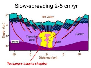 Slow-spreading 2-5 cm/yr
Temporary magma chamber
 