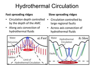 Hydrothermal Circulation
Fast spreading ridges
• Circulation depth controlled
by the depth of the AMC
• Along axis convection of
hydrothermal fluids
Slow spreading ridges
• Circulation controlled by
large regional faults
• Across axis convection of
hydrothermal fluids
 