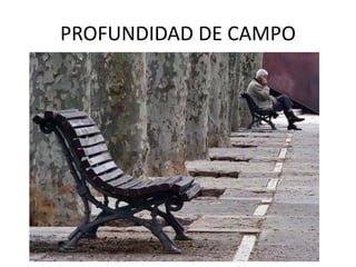 PROFUNDIDAD DE CAMPO
 