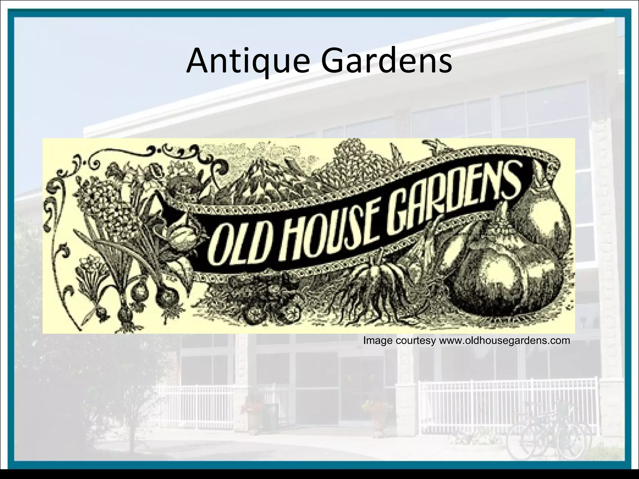 Antique Gardens Image courtesy www.oldhousegardens.com 