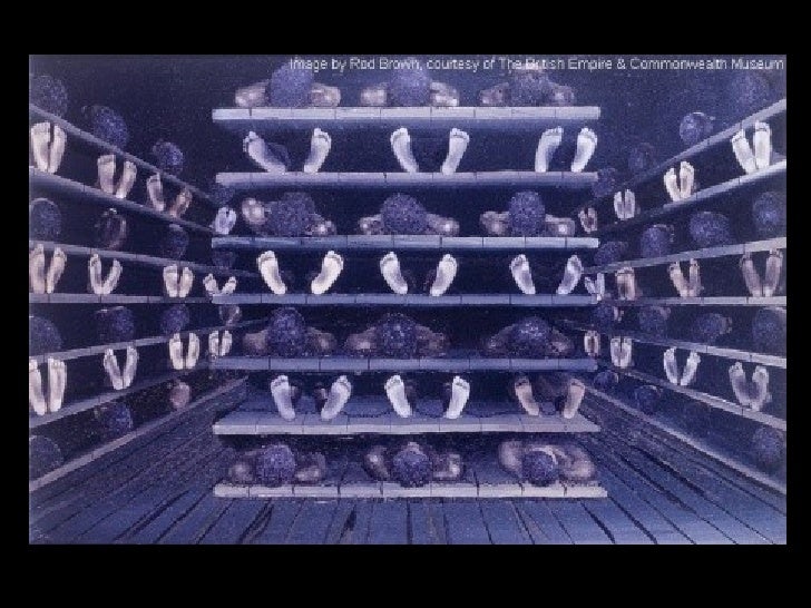 middle passage images middle passage
