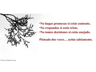 •No hagas promesas si estás contento.
•No respondas si estás triste.
•No tomes decisiones si estás enojado.

Piénsalo dos veces… actúa sabiamente.
 