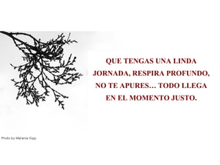 QUE TENGAS UNA LINDA
JORNADA, RESPIRA PROFUNDO,
NO TE APURES… TODO LLEGA
  EN EL MOMENTO JUSTO.
 
