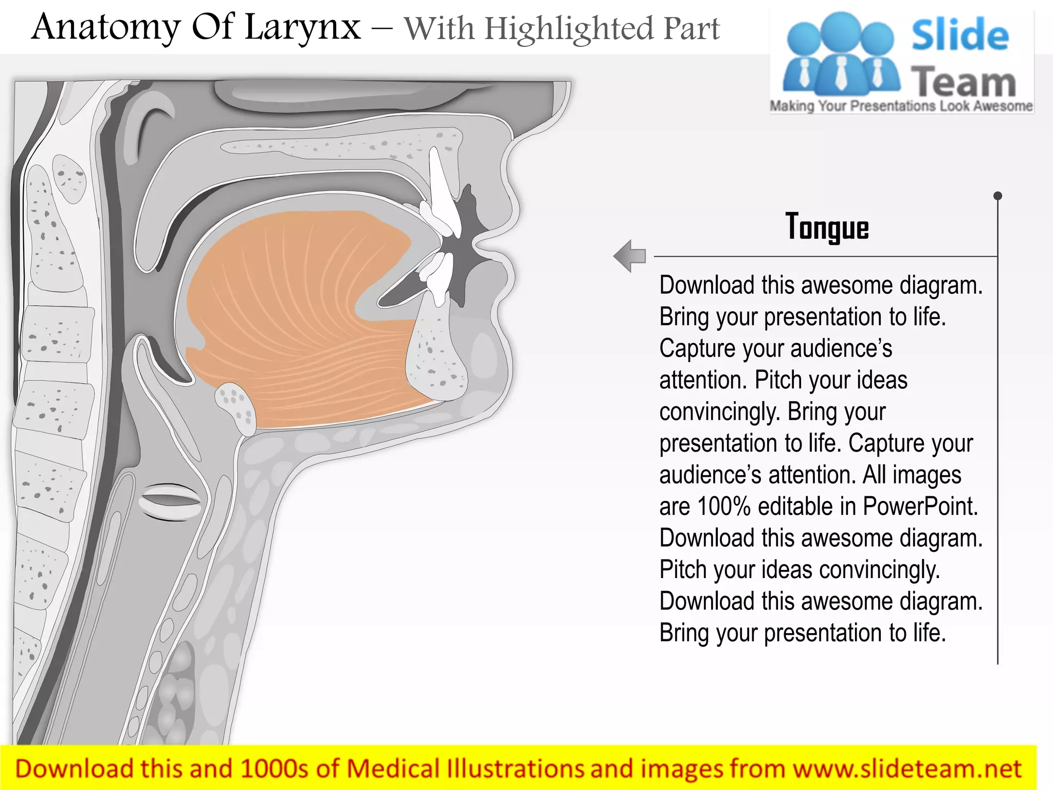 Mid sagital and laryngoscopic view of larynx medical images for power