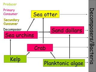 Mid Summative 5 Answers | PPT
