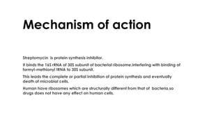 Mechanism of action
Streptomycin is protein synthesis inhibitor.
It binds the 16S rRNA of 30S subunit of bacterial ribosome,interfering with binding of
formyl-methionyl tRNA to 30S subunit.
This leads the complete or partial inhibition of protein synthesis and eventually
death of microbial cells.
Human have ribosomes which are structurally different from that of bacteria,so
drugs does not have any effect on human cells.
 