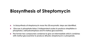 Biosynthesis of Streptomycin
 In biosynthesis of streptomycin more tha 30 enzymatic steps are identified.
 Glucose 6-phosphate takes 3 independent routes to produce streptidine 6-
phosphate,L-dehydrostreptose and N-methyl glucosamine.
 The former two compounds condense to give an intermediate which combines
with methyl glucosamine to produce dihydro-streptomycin-6-phosphate.
 