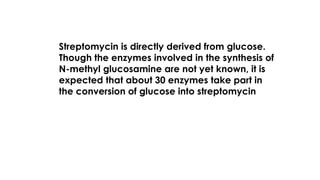 Streptomycin is directly derived from glucose.
Though the enzymes involved in the synthesis of
N-methyl glucosamine are not yet known, it is
expected that about 30 enzymes take part in
the conversion of glucose into streptomycin
 
