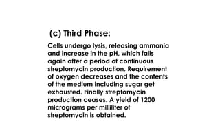 (c) Third Phase:
Cells undergo lysis, releasing ammonia
and increase in the pH, which falls
again after a period of continuous
streptomycin production. Requirement
of oxygen decreases and the contents
of the medium including sugar get
exhausted. Finally streptomycin
production ceases. A yield of 1200
micrograms per milliliter of
streptomycin is obtained.
 