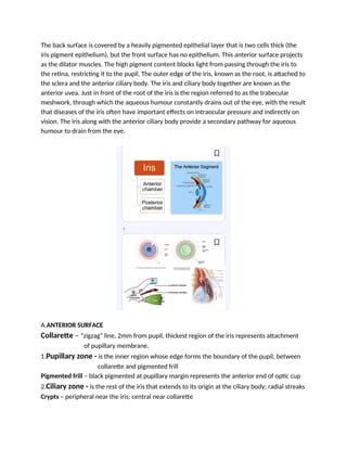 MIDTERM - OCULAR ANATOMY DOCUMENT REVIEWER | DOCX