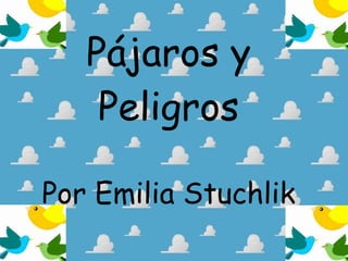 Pájaros y
Peligros
Por Emilia Stuchlik

 