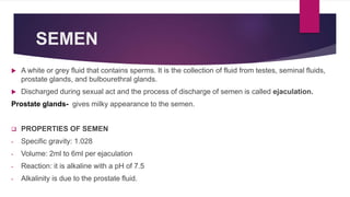 SEMEN
 A white or grey fluid that contains sperms. It is the collection of fluid from testes, seminal fluids,
prostate glands, and bulbourethral glands.
 Discharged during sexual act and the process of discharge of semen is called ejaculation.
Prostate glands- gives milky appearance to the semen.
 PROPERTIES OF SEMEN
- Specific gravity: 1.028
- Volume: 2ml to 6ml per ejaculation
- Reaction: it is alkaline with a pH of 7.5
- Alkalinity is due to the prostate fluid.
 