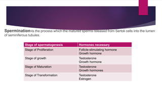Spermination-is the process which the matured sperms released from Sertoli cells into the lumen
of seminiferous tubules.
Stage of spermatogenesis Hormones necessary
Stage of Proliferation Follicle-stimulating hormone
Growth hormone
Stage of growth Testosterone
Growth hormone
Stage of Maturation Testosterone
Growth hormones
Stage of Transformation Testosterone
Estrogen
 