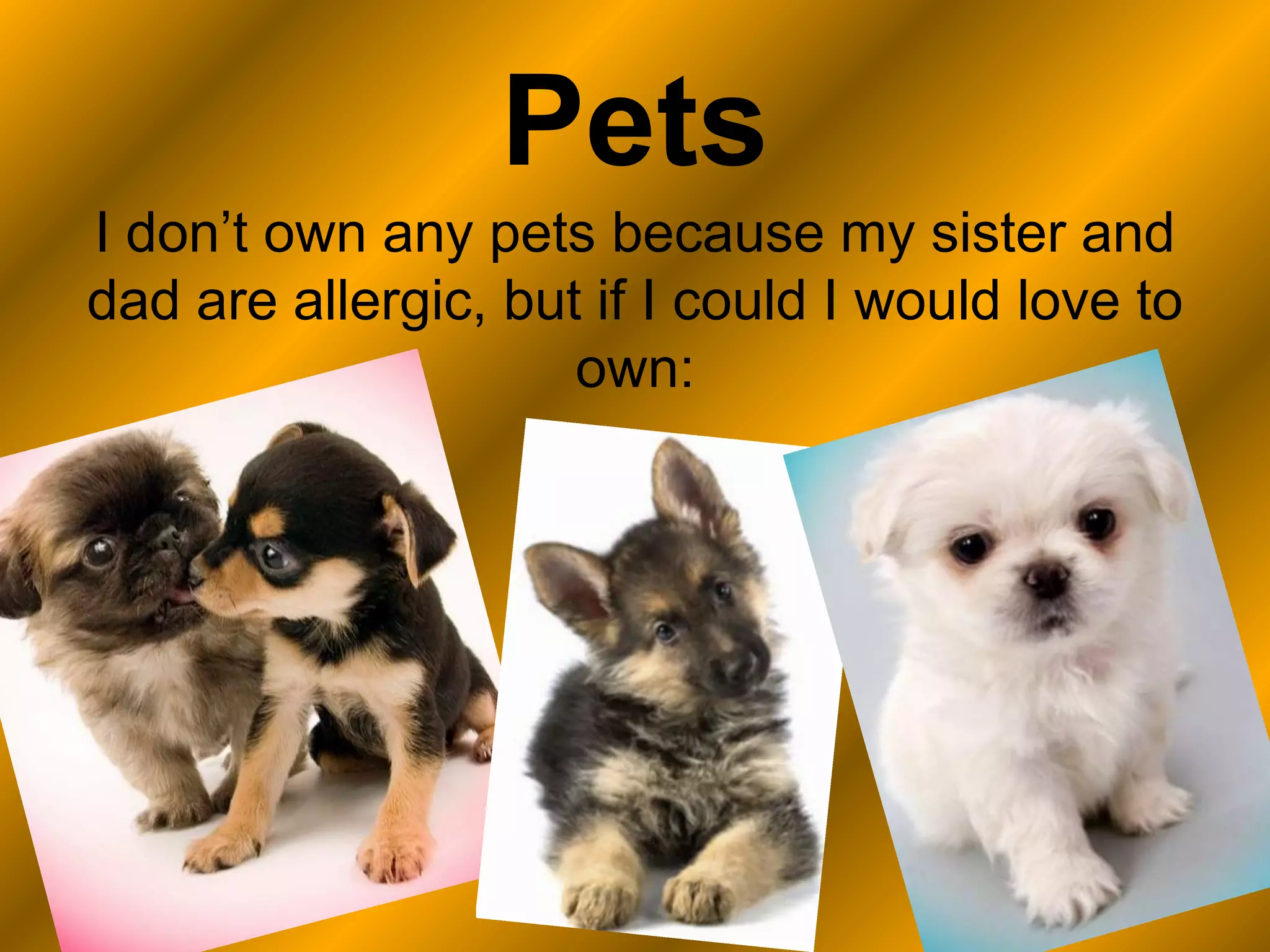 PetsI don’t own any pets because my sister and dad are allergic, but if I could I would love to own: 