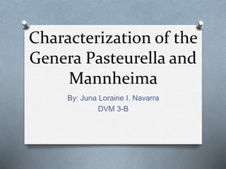Characterization of the
Genera Pasteurella and
Mannheima
By: Juna Loraine I. Navarra
DVM 3-B
 