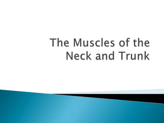The Muscles of the Neck and Trunk 