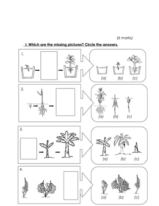 (a) (b) (c)
(a) (b) (c)
(6 marks)
I. Which are the missing pictures? Circle the answers.
16
(a) (b) (c)
(a) (b) (c)
1.
2.
3.
4.
 