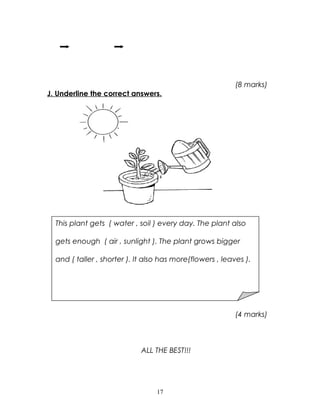 (8 marks)
J. Underline the correct answers.
(4 marks)
ALL THE BEST!!!
17
This plant gets ( water , soil ) every day. The plant also
gets enough ( air , sunlight ). The plant grows bigger
and ( taller , shorter ). It also has more(flowers , leaves ).
 