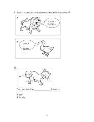 9. Which sound is correctly matched with the animal?
A
B
10.
M
The part M is the ______________ of the cat.
A tail
B body
4
trump…
trump…
quack
…
quack
…
 
