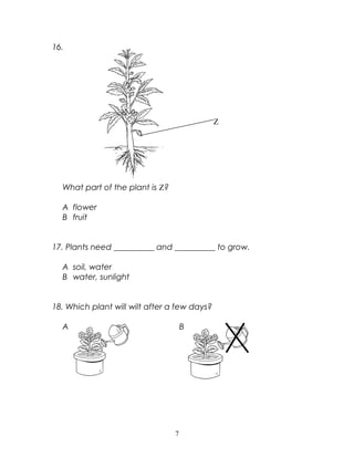 16.
Z
What part of the plant is Z?
A flower
B fruit
17. Plants need __________ and __________ to grow.
A soil, water
B water, sunlight
18. Which plant will wilt after a few days?
A B
7
 