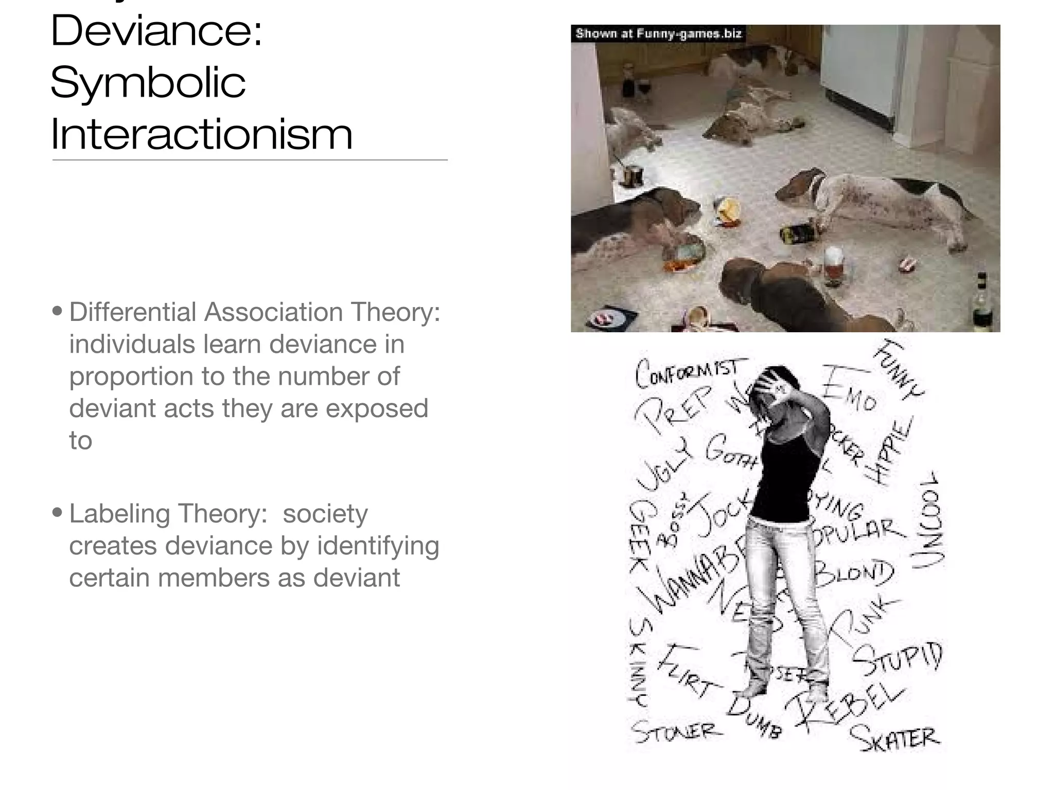 Deviance:
Symbolic
Interactionism

• Differential Association Theory:
individuals learn deviance in
proportion to the number of
deviant acts they are exposed
to
• Labeling Theory: society
creates deviance by identifying
certain members as deviant

 