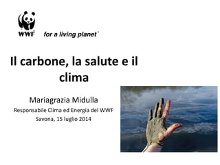Il carbone, la salute e il
clima
Mariagrazia Midulla
Responsabile Clima ed Energia del WWF
Savona, 15 luglio 2014
 