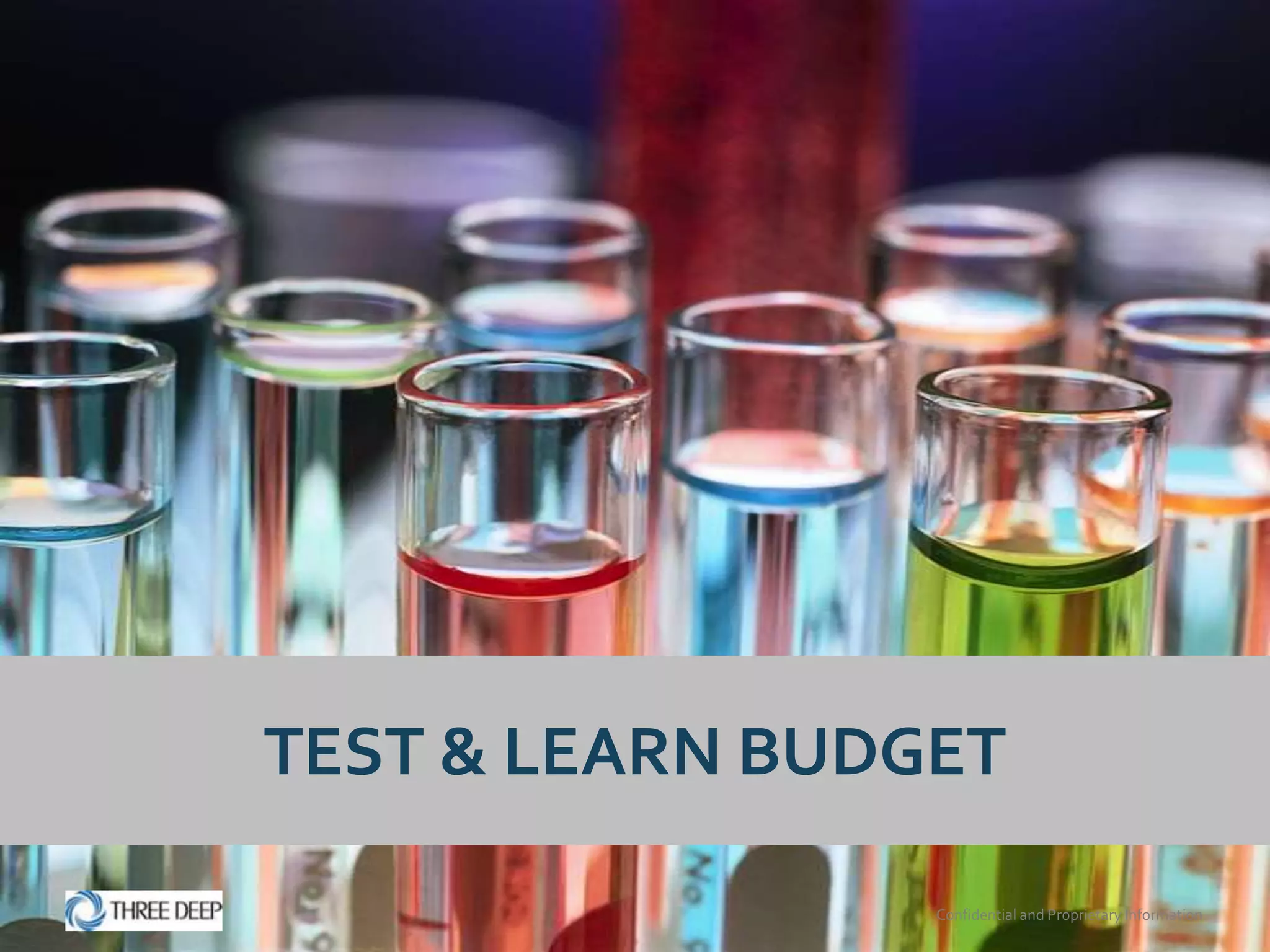 TEST & LEARN BUDGET

                 Confidential and Proprietary Information
 