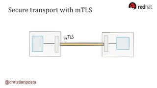 Secure transport with mTLS
@christianposta
 