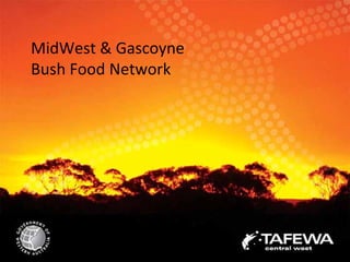 MidWest & Gascoyne
Bush Food Network




                     1
 