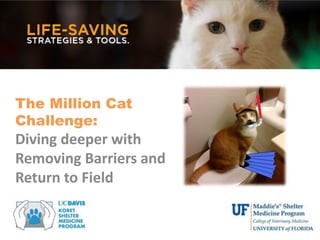 The Million Cat
Challenge:
Diving deeper with
Removing Barriers and
Return to Field
 