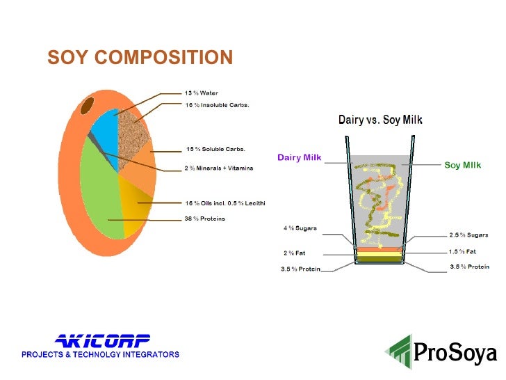 Soy Milk Presentation by Ysaac Akinin Oct 2009 WISHH Illinois
