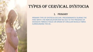TYPES OF CERVICAL DYSTOCIA
1. PRIMARY
PRIMARY TYPE OF DYSTOCIA OCCURS PREDOMINANTLY DURING THE
FIRST BIRTH .THE NON DILATION MAY BE DUE TO THE PRESENCE OF
EXCESSIVE FIBROUS TISSUE OR SPASM OF CIRCULAR MUSCLE FIBRES
SURROUNDING THE OS .
 