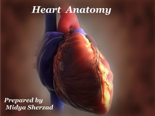 Heart Anatomy
Prepared by
Midya Sherzad
 