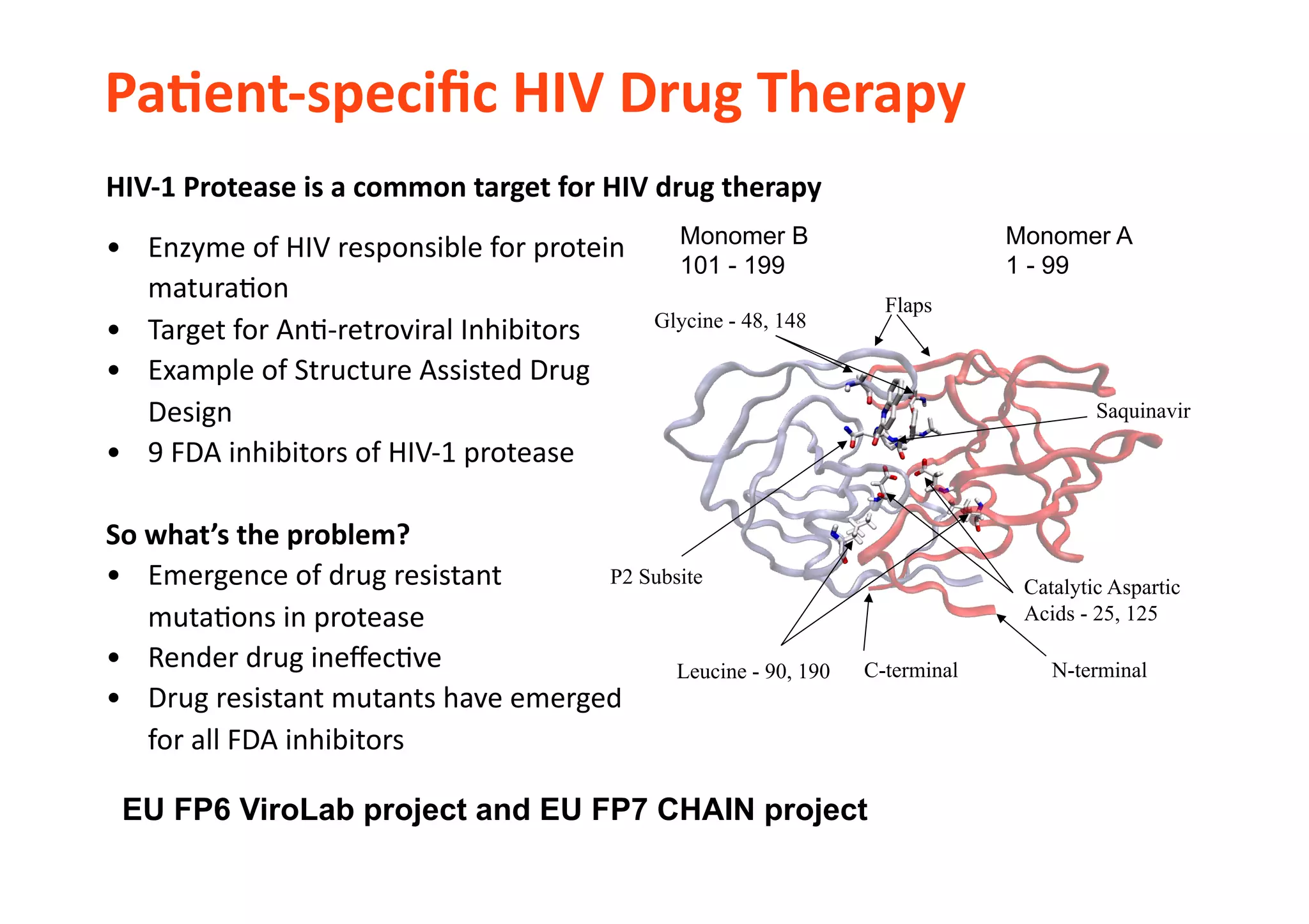 HIV-­‐1	
  Protease	
  is	
  a	
  common	
  target	
  for	
  HIV	
  drug	
  therapy	
  
•  Enzyme	
  of	
  HIV	
  responsible	
  for	
  protein	
  
matura-on	
  
•  Target	
  for	
  An--­‐retroviral	
  Inhibitors	
  
•  Example	
  of	
  Structure	
  Assisted	
  Drug	
  
Design	
  
•  9	
  FDA	
  inhibitors	
  of	
  HIV-­‐1	
  protease	
  
So	
  what’s	
  the	
  problem?	
  
•  Emergence	
  of	
  drug	
  resistant	
  
muta-ons	
  in	
  protease	
  
•  Render	
  drug	
  ineﬀec-ve	
  
•  Drug	
  resistant	
  mutants	
  have	
  emerged	
  
for	
  all	
  FDA	
  inhibitors	
  
Monomer B
101 - 199
Monomer A
1 - 99
Flaps
Leucine - 90, 190
Glycine - 48, 148
Catalytic Aspartic
Acids - 25, 125
Saquinavir
P2 Subsite
N-terminalC-terminal
EU FP6 ViroLab project and EU FP7 CHAIN project
PaLent-­‐speciﬁc	
  HIV	
  Drug	
  Therapy	
  	
  
 