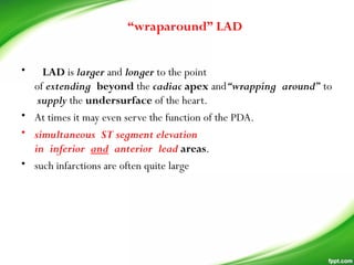 •  LAD is larger and longer to the point
of extending beyond the cadiac apex and“wrapping around” to
 supply the undersurface of the heart.
• At times it may even serve the function of the PDA.
• simultaneous ST segment elevation
in inferior and anterior lead areas.
• such infarctions are often quite large
“wraparound” LAD
 