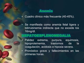 Anemia
• Cuadro clínico más frecuente (40-45%).
• Se manifiesta como anemia fetal ligera y
bilirrubinemia indirecta que no excede los
16mg/dl.
HEPATOESPLENOMEGALIA
• Palidez extrema, purpura, equimosis,
hipoproteinemia, trastornos de la
coagulación, acidosis e hipoxia severa.
• Pronóstico grave y fallecimientos en las
primeras horas.
 