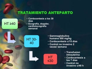 HT ≥40
• Cordocentesis a los 30
dias
• Ecografia, doppler,
cardiotocografia
semanal
HT 30-
40
• Gammaglobulina
humana 500 mg/kg
• Cordocentesis c/15 dias
• Control no invasivo 2
veces/ semana
HT
≤30
• Transfusion
intrauterina
• Cordocentesis a
los 7 dias
• Control no
invasivo c/48 h
 