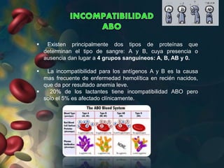  Existen principalmente dos tipos de proteínas que
determinan el tipo de sangre: A y B, cuya presencia o
ausencia dan lugar a 4 grupos sanguíneos: A, B, AB y 0.
 La incompatibilidad para los antígenos A y B es la causa
mas frecuente de enfermedad hemolítica en recién nacidos,
que da por resultado anemia leve.
 20% de los lactantes tiene incompatibilidad ABO pero
solo el 5% es afectado clínicamente.
 