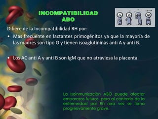Difiere de la Incompatibilidad RH por:
• Mas frecuente en lactantes primogénitos ya que la mayoría de
las madres son tipo O y tienen isoaglutininas anti A y anti B.
• Los AC anti A y anti B son IgM que no atraviesa la placenta.
La Isoinmunizaciòn ABO puede afectar
embarazos futuros, pero al contrario de la
enfermedad por Rh rara vez se torna
progresivamente grave.
 