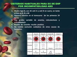 1. Madre tipo O, con AC anti A y anti B en suero, en tanto
el feto es A, B o AB
2. Aparece ictericia en el transcurso de las primeras 24
horas.
3. Hay grados variable de anemia, reticulocitosis y
eritroblastosis
4. Prueba de Coombs resulta positiva.
5. Ha habido exclusión cuidadosa de otras causas de
hemolisis.
CRITERIOS HABITUALES PARA DX DE EHP
POR INCOMPATIBILIDAD ABO
 