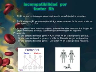 incompatibilidad por
factor Rh
• El Rh es otra proteína que se encuentra en la superficie de los hematíes.
• En el sistema Rh se contemplan 6 Ags determinantes de la mayoría de los
fenotipos: D,d,C,c,E,e
• El antígeno D es el más inmunógeno y determina a las personas Rh. El gen Rh
(+) es dominante e incluso cuando se junta con un gen Rh negativo.
Por ejemplo:
• Si una persona tiene los genes + +, el factor Rh en la sangre será positivo.
• Si una persona tiene los genes + -, el factor Rh en la sangre será positivo.
• Si una persona tiene los genes - -, el factor Rh en la sangre será negativo.
 
