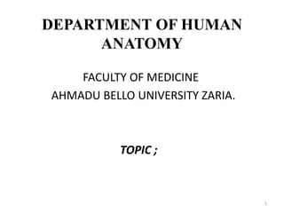 DEPARTMENT OF HUMAN
ANATOMY
FACULTY OF MEDICINE
AHMADU BELLO UNIVERSITY ZARIA.
TOPIC ;
1
 