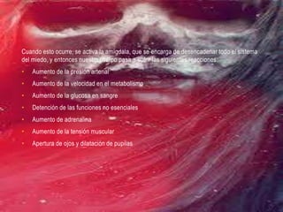 Cuando esto ocurre, se activa la amígdala, que se encarga de desencadenar todo el sistema
del miedo, y entonces nuestro cuerpo pasa a sufrir las siguientes reacciones:
• Aumento de la presión arterial
• Aumento de la velocidad en el metabolismo
• Aumento de la glucosa en sangre
• Detención de las funciones no esenciales
• Aumento de adrenalina
• Aumento de la tensión muscular
• Apertura de ojos y dilatación de pupilas
 