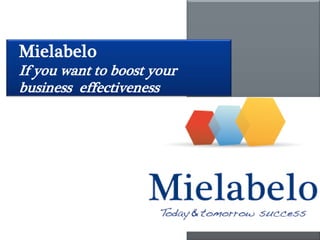 Mielabelo
If you want to boost your
business effectiveness
 
